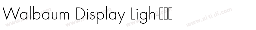 Walbaum Display Ligh字体转换